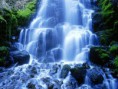 /album/naturaleza/naturaleza-1-jpg/